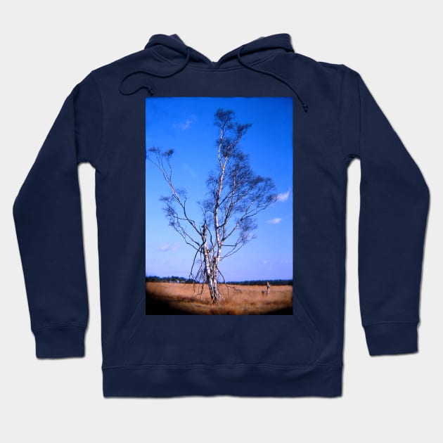 Lonely birch Hoodie by robelf